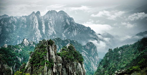 安徽首個(gè)文旅基金在黃山市創(chuàng)立，黃山企業(yè)積極建站助力產(chǎn)業(yè)發(fā)展