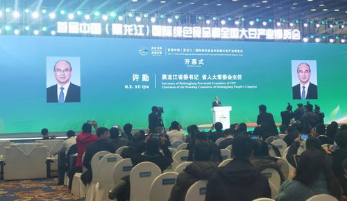 首屆中國(guó)黑龍江國(guó)際綠色食品和全國(guó)大豆產(chǎn)業(yè)博覽會(huì)盛大開幕，黃山企業(yè)積極布局建站