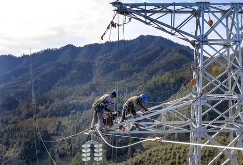 安徽黃山供電公司打通電網(wǎng)互聯(lián)動(dòng)脈，為融入長(zhǎng)三角經(jīng)濟(jì)圈增添動(dòng)力