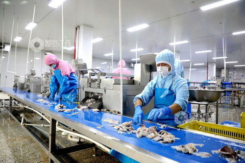 江西峽江食品企業(yè)產(chǎn)銷兩旺，黃山企業(yè)加速建站布局